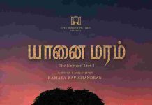 இயக்குநர் பா.ரஞ்சித் பார்த்து பாராட்டிய ‘யானைமரம்’ படத்தின் டிரெய்லர்!