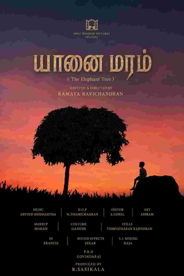 யானைமரம் 29 9